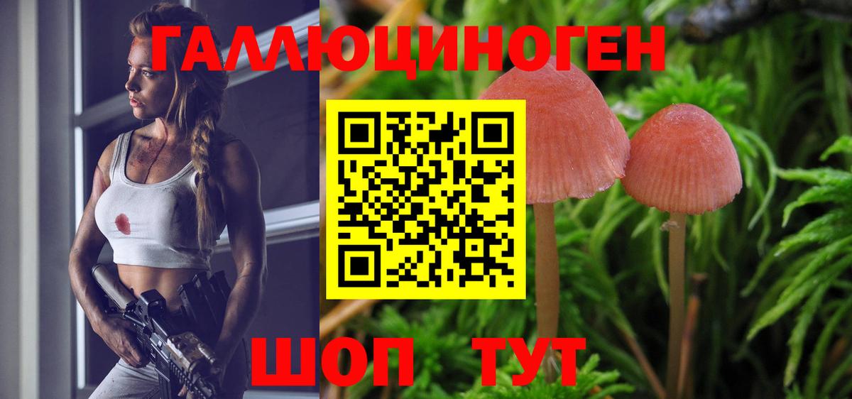 Георгиевск  Галлюциногенные грибы мухоморы  Вход с VPN 