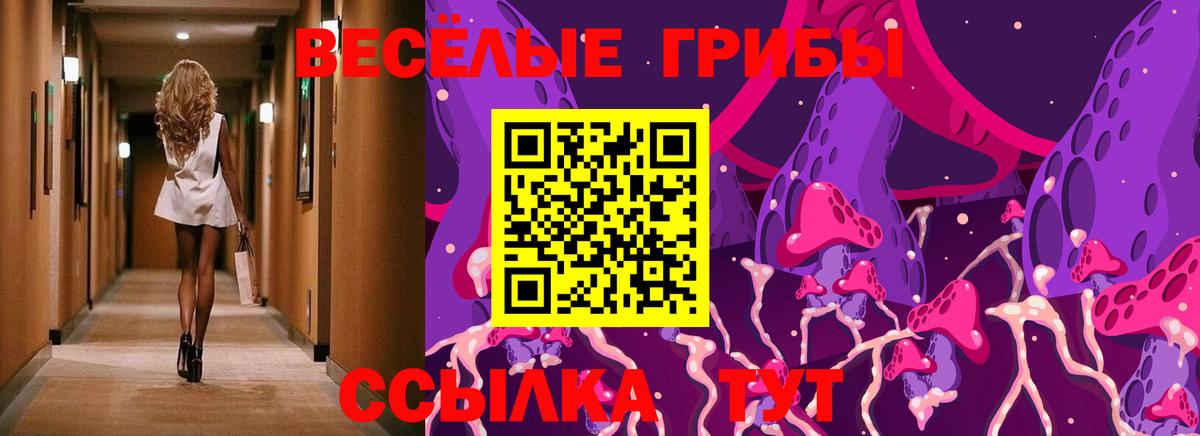 Псилоцибиновые грибы мухоморы Георгиевск